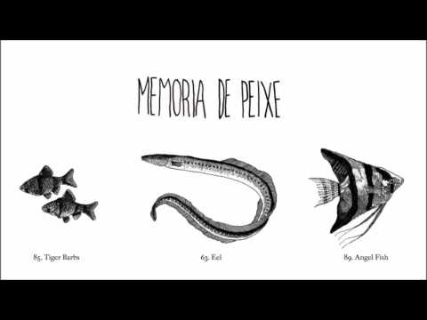 Memória de Peixe - Dayjob (feat. Carlos Bica)
