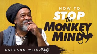 How to Stop the Monkey Mind