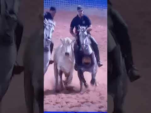 VAQUEJADA ARENA SÃO PEDRO _ GOVERNADOR EDISON LOBÃO _ MA  e inscrever canal pessoal