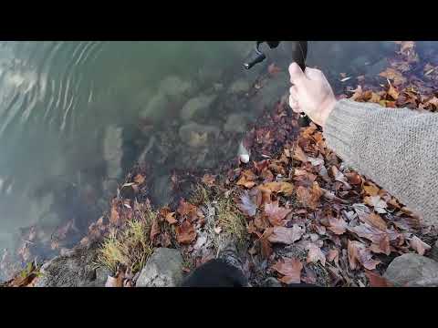 Chasing Asp with Braided Line – Did I Make a Mistake?