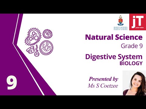 Grade 9 Natural Science - Biology - Digestive System
