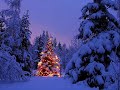 On Hanget Korkeat Nietokset - Vánoční písničky a koledy