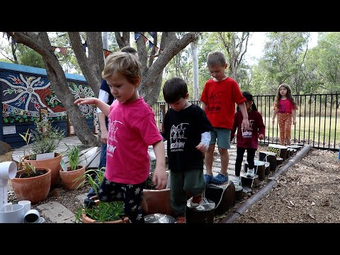 Forestview Kindergarten's bush tucker garden