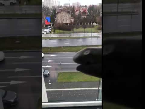 הקורונה גורמת לאנשים לעשות דברים מאוד מוזרים בבית...