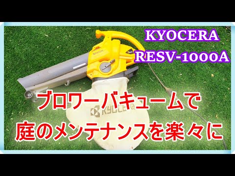 庭掃除に最適な道具は何ですか？リーフシュレッダーバキュームまたはリーフブロワー  庭園