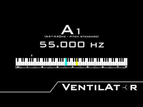 A1 / 55.000hz @A440hz Tone For Instrument Tuning