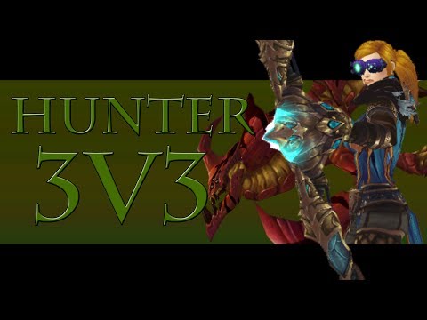 2800+ Marksmanship Hunter 3v3 Arena #13