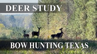 Deer Study, at what point are they nervous?