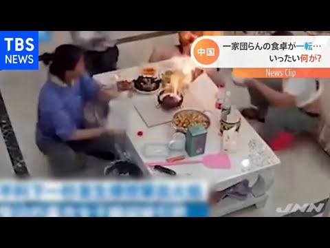 犬の火傷を治す