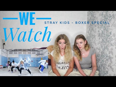We Watch: Stray Kids - Boxer Special Video