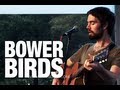 WATCH | Bowerbirds "Northern Lights" | indieATL session