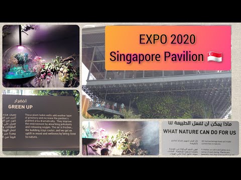 Singapore Pavilion 🇸🇬 #Dubai #expo2020 #Nature #future #keerthana karthikeyan