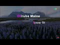 Dilruba Maine Tere Pyar Mein Karaoke Song With Lyrics Dil Diya Dard Liya Mohammed Rafi