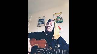 you left it up to me-------indigo girls(Amy Ray)     ----my cover please read description