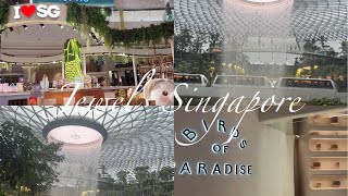 【シンガポールへご旅行・トランジットされる方へ💡】世界一の空港 チャンギ国際空港にあるJewelでの過ごし方✨#チャンギ空港 #Jewel #changiairport