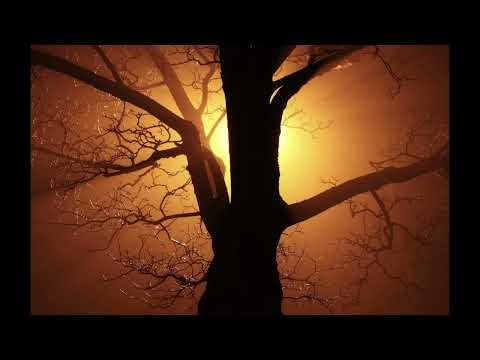 [Electromotif - Lovely Interjections] Ambient / Melodic Glitch / Downtempo / Electronic Music