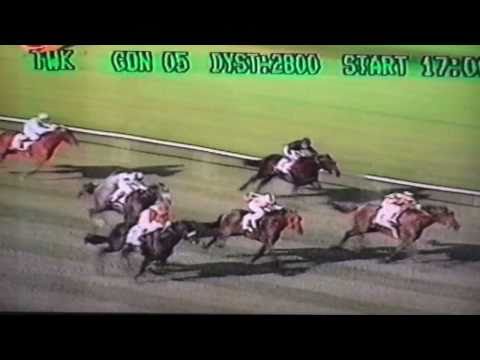 Nagroda St.Leger - 28.08.1994 - Amman  (Winds of Light - Abisynia)