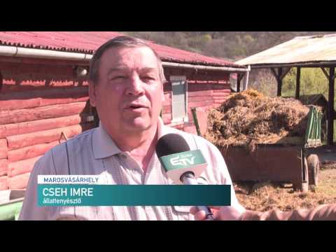 Híradó 2017. április 3. – Erdélyi Magyar Televízió