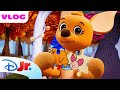 Me Winnie The Pooh Help Kanga Complete A Puzzle Of Hundred Acre Friends Disneyjr