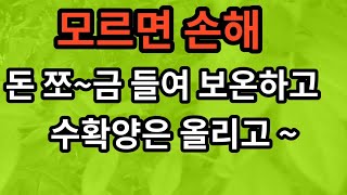 모르면 손해인 뽁뽁이로 난방비 줄이는 방법 블루베리밭 인터뷰 air cap effect