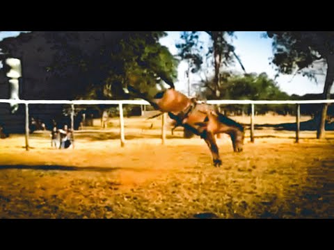E O FUTURO DO RODEIO EM CUTIANO ESTÁ A TODO VAPOR