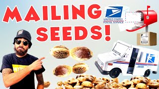 DO NOT BUY SEEDS WITHOUT WATCHING THIS FIRST! 🫘