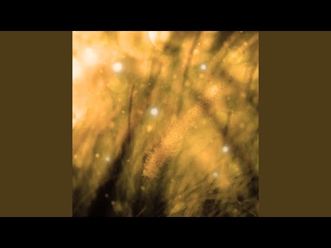 Serenata bajo el balcón