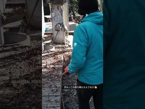 庭掃除に最適な道具は何ですか？リーフシュレッダーバキュームまたはリーフブロワー  庭園