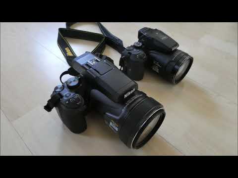 Nikon Coolpix P1000 VS P900 Zoom Test