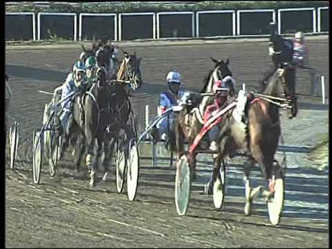 Trotto 27/12/2015 - 2° corsa