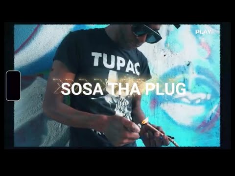 Sosa The Plug (Kingdom)