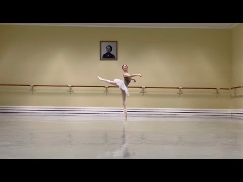 Lynn Suh Im Variation