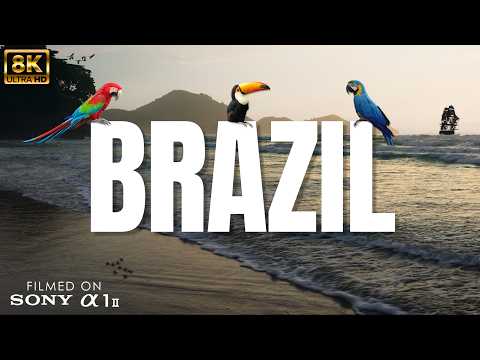 Brazil in 8K | Ubatuba Beaches & Campos do Jordão (Cinematic Travel Film)