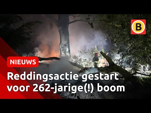 maandag, 15 december 2025