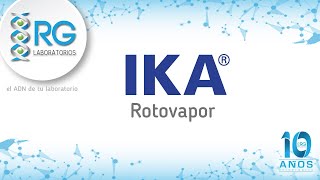 IKA Roto Vapor HB10 Basic