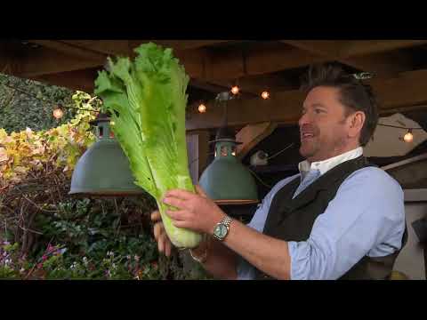 James Martin's Saturday Morning Series 6: Episode 11 Saturday 4th February 2023 World Cancer Day