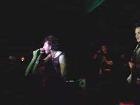 Mad Pigs - Kecy