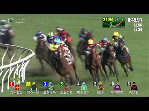 2020/21 (290) - Here Comes Ted (戰熊三千) - 蘇銘倫