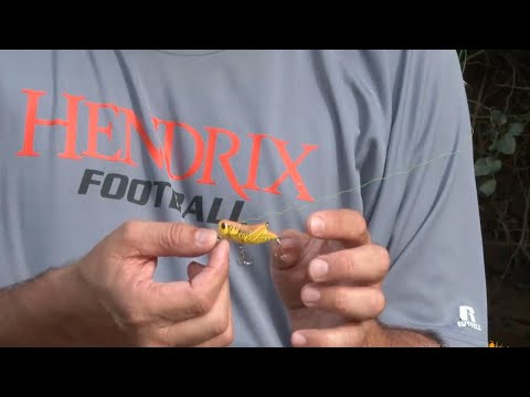 Vídeo Isca Rebel F73 Crickhoper - Gafanhoto