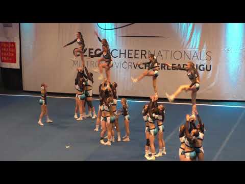 JNS SILVERBIRDS Team AllGirl Junior Elite Large CTJ5AL at CZCN 2018