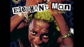 Elephant Man - Give Her Di Conga (Remix)