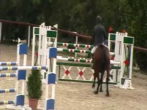 Sandro's son megyei felnőtt döntő 2014