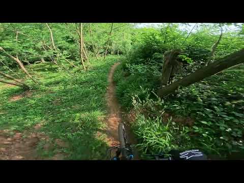 Ritorno sul Montello dopo anni 1 6 25