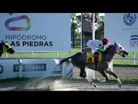 220129 c09 - MINUANO DES PINS - HIPODROMO LAS PIEDRAS -