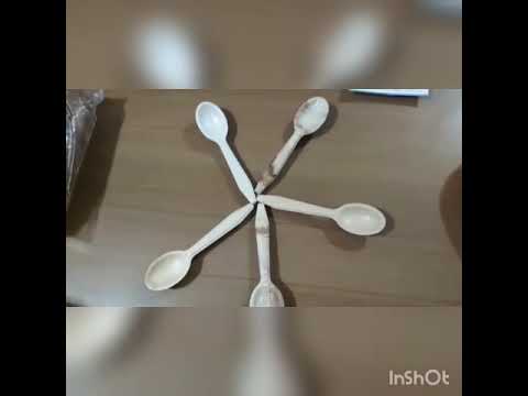 Areca Leaf Plate