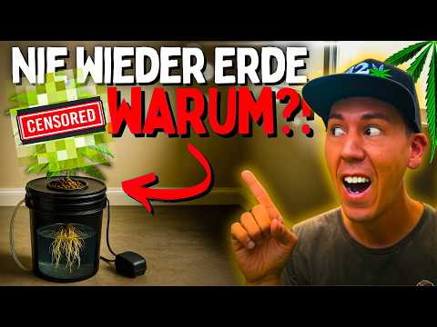 No more soil!? 😱 30% FASTER and huge harvest – even for beginners? Hydro DWC Pot Planter