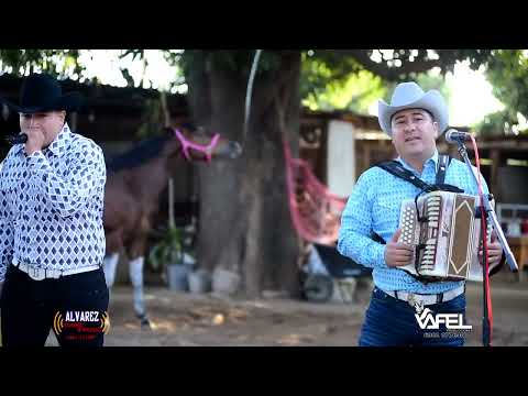 “ El Pulmón “ Los Cedreños en vivo