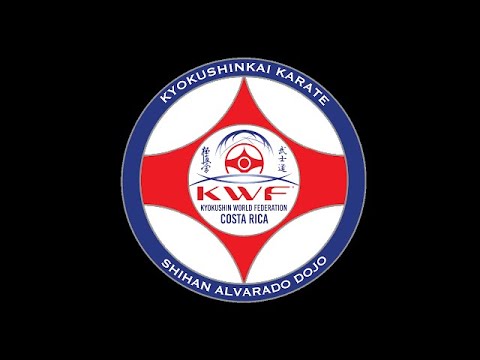 Mauricio Alvarado vs Zensaku Munn - 9th World Open Karate Tournament 2007 Kyokushinkai Tokyo Japan