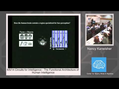 6/5/14 Circuits for Intelligence - Nancy Kanwisher: The Functional Architecture of Intelligence