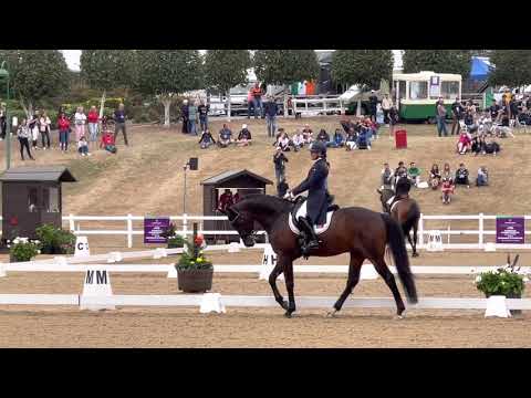 Funji e Nicole - Campeonato Europa - HARTPURY UK - 2022